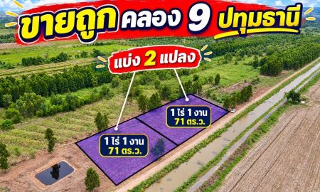 ขายที่ดิน - ขายถูกกว่าราคาประเมิน ที่สวย ทำเลดี อนาคตไกล คลอง 9 อ.หนองเสือ จ.ปทุมธานี