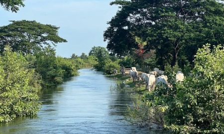 ขายที่ดิน - ขายที่ดินเปล่าแปลงสวย ทำเลดี ต.เกาะศาลพระ อ.วัดเพลง จ.ราชบุรี