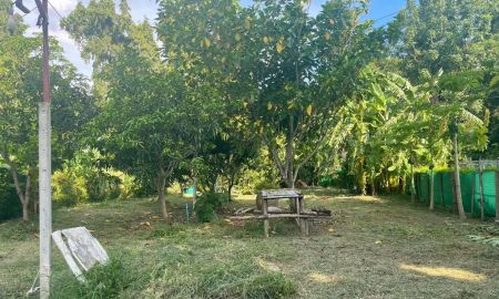 ขายที่ดิน - ขายที่ดินเปล่าติดถนน หมู่บ้านลานทอง ปากเกร็ด ที่สวย ทำเลดี ขายถูก