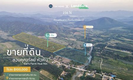ขายที่ดิน - ขายที่ดิน สวนคุณกัลย์ หัวหิน ที่ดินพร้อมสวน เก็บเกี่ยวได้ตลอดปี