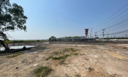 ขายที่ดิน - ขายที่ดินคลองนครเนื่องเขต 3 ไร่ ถมแล้วติดปูกะเอติดถนนสุวินทวงศ์304 ใกล้ตลาดปองพล2กม. อ.เมืองฉะเชิงเทรา