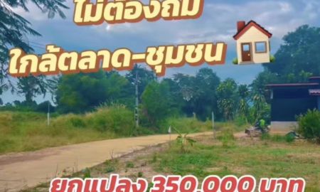 ขายที่ดิน - ที่ดินแปลงเล็กราคาถูก ยกแปลง 350,000 บาท ชุมชน ตลาดสด ครบ
