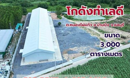 ขาย-ให้เช่าโรงงาน / โกดัง - โกดังให้เช่า และ ขาย ใกล้ถนนเส้น 331 ต.หนองไผ่แก้ว อ.บ้านบึง จ.ชลบุรี