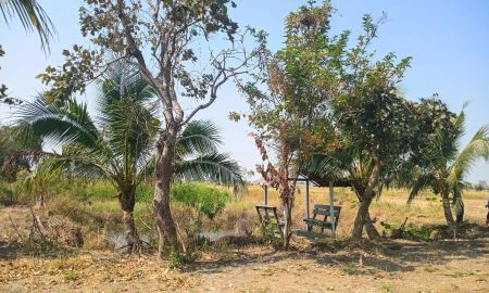 ขายที่ดิน - ขายที่ดินพร้อมสิ่งปลูกสร้าง วิวทุ่งนา บรรยากาศดี ทำเลเงียบสงบ ใกล้เมืองนครราชสีมา