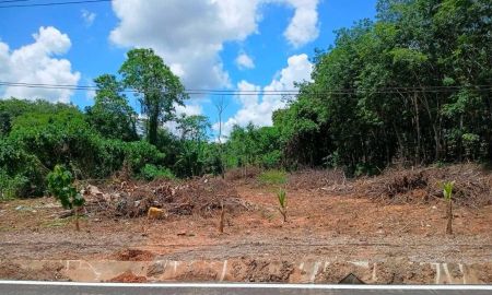 ขายที่ดิน - ที่ดิน 231.3 ตร.ว. เขตเมืองสุราษฎร์ฯ | วัดประดู่ | โฉนดพร้อม | พัฒนาได้หลายรูปแบบ