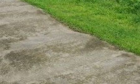ขายที่ดิน - ขายที่ดินสวยทำเลทอง อำเภอพาน เชียงราย เหมาะสร้างบ้านพักผ่อน