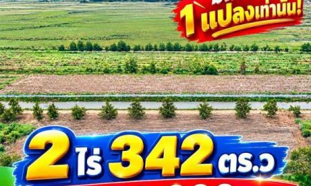 ขายที่ดิน - ถูกกว่าราคาประเมิน #ที่ดินคลอง9 รพีพัฒน์ ปทุมธานี มีเพียง 1 แปลงเท่านั้น! 2 ไร่ 342ตร.ว ไร่ล่ะ 7แสน9หมื่นบาท