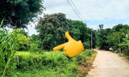 ขายที่ดิน - ที่ดินอยู่อาศัย ติดถนน กลางชุมชน อ.ชำนิ บุรีรัมย์