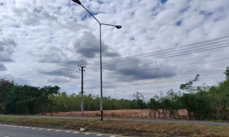 ขายที่ดิน - ขายที่ดินสุรินทร์ 17.2 ไร่ ติดทางหลวง 214 ที่ดินสวยมาก
