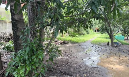 ขายที่ดิน - ขายที่ดินตำบลหนองหอยเขตเมืองติดถนนโฉนดพร้อมโอน