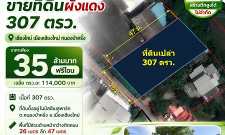 ขายที่ดิน - ขายที่ดินเปล่า 307 ตรว. (บิสสิเนสพาร์ค ต.หนองป่าครั่ง อ.เมืองเชียงใหม่)