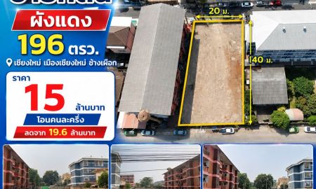 ขายที่ดิน - ขายที่ดินเปล่า 196 ตรว. (ด้านหลังศูนย์ Toyo Rich ช้างเผือก ต.ช้างเผือก อ.เมืองเชียงใหม่)