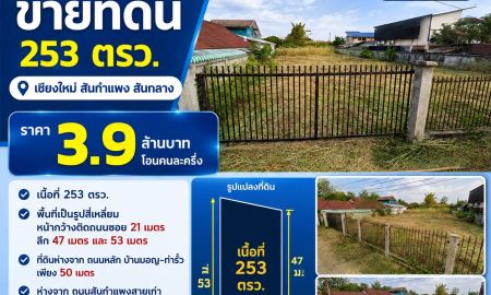 ขายที่ดิน - ขายที่ดินเปล่า 253 ตรว. (ต.สันกลาง อ.สันกำแพง)