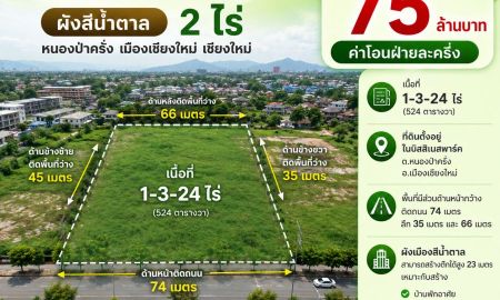 ขายที่ดิน - ขายที่ดินเปล่า 1-3-24 ไร่ (หลังบิ๊กซีเอ็กตร้า ต.หนองป่าครั่ง อ.เมืองเชียงใหม่ จ.เชียงใหม่)