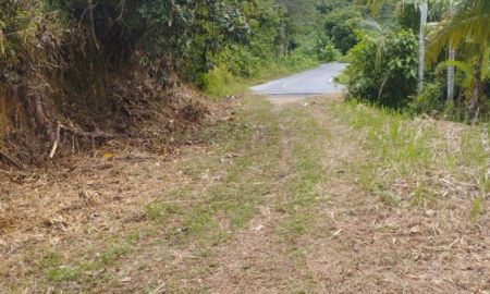 ขายที่ดิน - ขายที่ดิน 2แปลง 4-2-38 ไร่ ถนนสาคู-ในทอน (เส้น4018) ใกล้หาดในทอน 50ล้าน 10.8ล้าน/ไร่