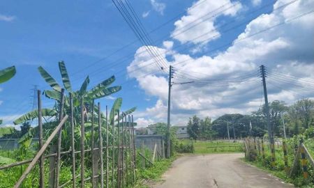 ขายที่ดิน - ขายที่ดินตำบลสันกลางสันกำแพงห่างเรือนแพ 800เมตรพร้อมโอน