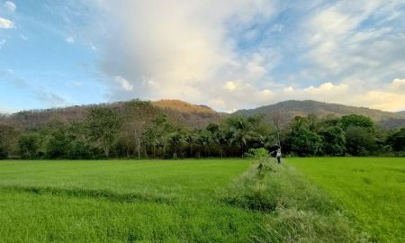 ขายที่ดิน - ขายที่ดิน ติดภูเขา ช่องมะเฟือง เนื้อที่ 9 ไร่ ติดภูเขา ติดลำรางน้ำสาธารณะ วิวสวยมาก