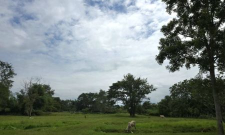 ขายที่ดิน - ขายที่ดิน 8 ไร่ ห้วยแก้ว แม่ออน เชียงใหม่