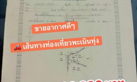 ขายที่ดิน - ที่ดินเช่นทางท่องเที่ยวแก่งกระจานเพราะเนินทุ่ง ยกแปลง 600,000 บาท