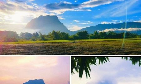 ขายที่ดิน - ขายที่ดินเชียงดาววิวดอยหลวงติดแม่น้ำปิงพร้อมโอน