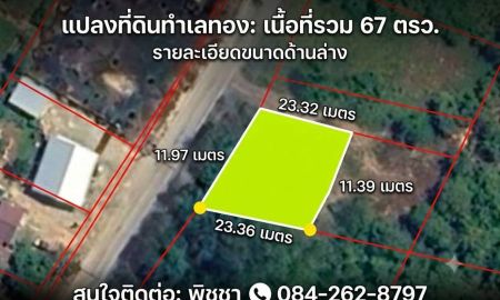 ขายที่ดิน - ขายที่ดินเปล่า พุนพิน สุราษฎร์ธานี ที่ดินแปลงเล็ก ราคาจับต้องได้ เพียง 290,000 บาท
