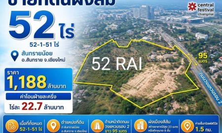 ขายที่ดิน - ขายที่ดินผังส้ม 52ไร่ ห่างเซ็นเฟส 1.5 กม. เชียงใหม่ สันทราย สันทรายน้อย