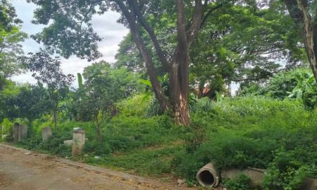 ขายที่ดิน - ขายที่ดินตำบลวัดเกตุติดถนนกลางใจเมืองโฉนดพร้อมโอน