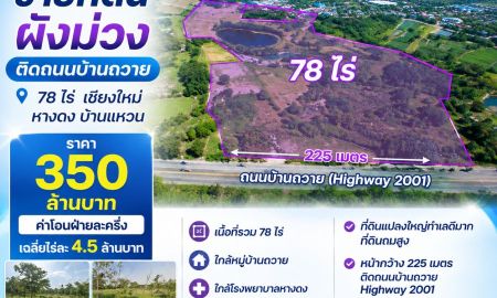 ขายที่ดิน - ขายที่ดินผังม่วง ติดถนนบ้านถวาย 78ไร่ เชียงใหม่ หางดง บ้านแหวน