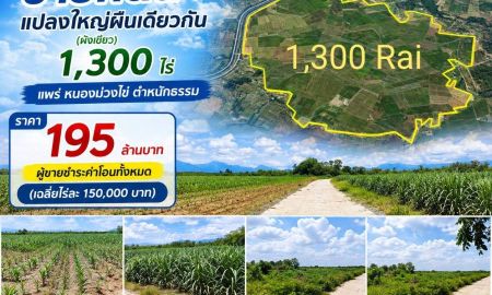 ขายที่ดิน - ขายที่ดินแปลงใหญ่ผืนเดียวกัน (ผังเขียว) 1,300 ไร่ แพร่ หนองม่วงไข่ ตำหนักธรรม