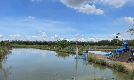 ขายที่ดิน - ขายที่ดิน 16 ไร่ 1 งาน 20 ตร.ว. ตร.ว. ละ 1,500 บาท อ.ดอนตูม จ.นครปฐม