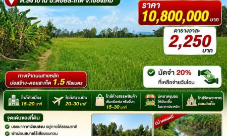 ขายที่ดิน - ขายที่ดิน 12ไร่ ต.สง่าบ้าน อ.ดอยสะเก็ด เชียงใหม่