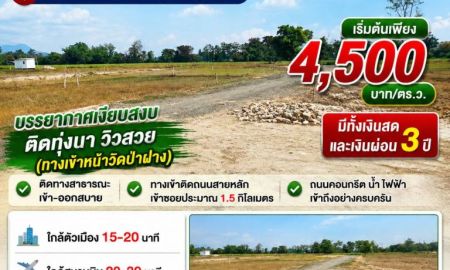 ขายที่ดิน - ขายที่ดิน ราคา4,500บาท/ตร.ว. ต.สง่าบ้าน อ.ดอยสะเก็ด เชียงใหม่