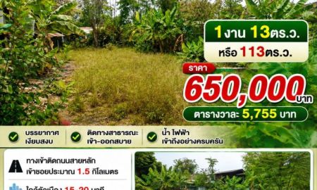 ขายที่ดิน - ขายที่ดิน 113ตร.ว. ต.สง่าบ้าน อ.ดอยสะเก็ด จ.เชียงใหม่