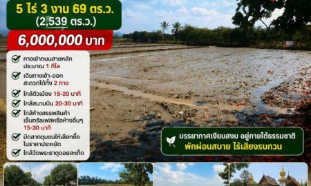 ขายที่ดิน - ขายที่ดิน 5ไร่3งาน ต.ป่าป้อง อ.ดอยสะเก็ด เชียงใหม่