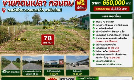 ขายที่ดิน - ขายที่ดิน 78ตร.ว. ต.สง่าบ้าน อ.ดอยสะเก็ด จ.เชียงใหม่