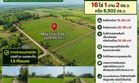 ขายที่ดิน - ขายที่ดิน 16ไร่1งาน ต.สง่าบ้าน อ.ดอยสะเก็ด จ.เชียงใหม่