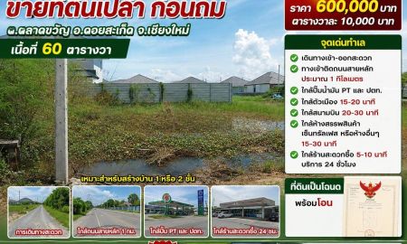 ขายที่ดิน - ขายที่ดิน 60ตร.ว. ต.ตลาดขวัญ อ.ดอยสะเก็ด จ.เชียงใหม่