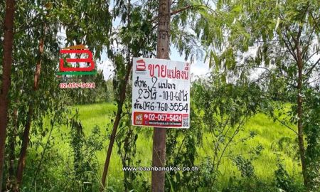ขายที่ดิน - ที่ดินแปลงนา เนื้อที่ 33-0-60 ไร่ ซอยโยธาธิการ (เกาะโพธิ์), ใกล้อบต.เกาะโพธิ์ ถนนสุวรรณศรทาง(หลวงหมายเลข 33) ตำบลเกาะโพธิ์ อำเภอปากพลี นครนายก