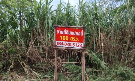 ขายที่ดิน - ขายที่ดินเปล่า 100 ตารางวา ใกล้ฝั่งถนนรังสิต-นครนายก ในซอยคลองสาม 1/5 ถนนเลียบคลองสาม คลองหลวง รังสิต ปทุมธานี