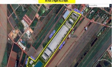 ขายที่ดิน - ขายที่ดินผังสีม่วงถนนสุวินทวงศ์ ใกล้ตลาดปองพล เนื้อที่ 86ไร่ ไร่ละ 3 ล้าน ต.วังตะเคียน อ.เมือง จ.ฉะเชิงเทรา