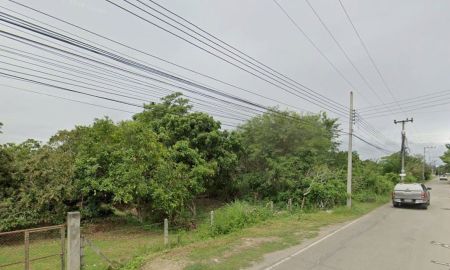 ขายที่ดิน - ขายที่ดินใกล้ รพ.สารภี 68ไร่ เชียงใหม่ สารภี สารภี