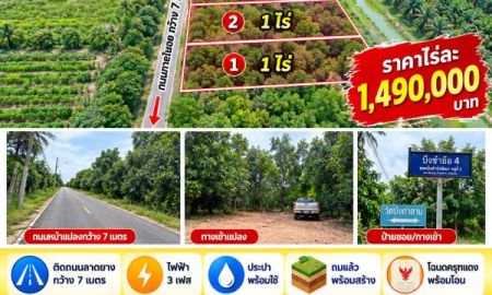ขายที่ดิน - ที่ดินคลอง 9 บึงชำอ้อ แปลงสวย ถมพร้อมใช้ เดินทางเข้าแปลงสะดวก