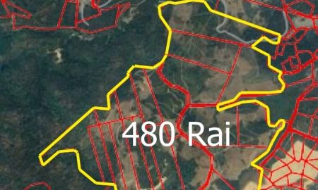 ขายที่ดิน - ขายที่ดินเชิงเขา 480 ไร่ (ต.ป่าตึง อ.แม่จัน จ.เชียงราย)
