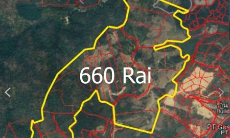 ขายที่ดิน - ขายที่ดินเชิงเขา 660 ไร่ (ต.ป่าตึง อ.แม่จัน จ.เชียงราย)
