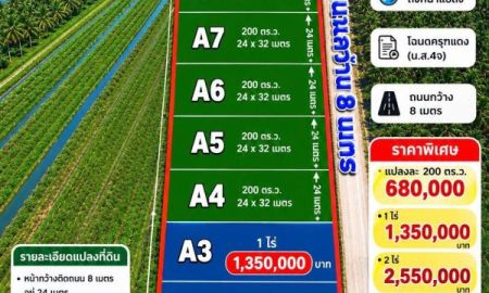ขายที่ดิน - ที่ดินคลอง 8 บึงบอน แปลงใหญ่ 200 ตร.ว. งบไม่ถึง 7 แสน