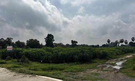ขายที่ดิน - ที่ดินแปลงใหญ่ใกล้ทางขึ้นมอเตอร์เวย์กาญจนบุรี m81 เพียง 900 เมตร