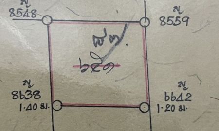 ให้เช่าที่ดิน - ให้เช่าที่ดิน ขนาด 112 ตารางวา ทำเลพุทธบูชา 31