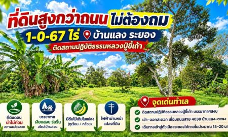 ขายที่ดิน - ขายที่ดินวาละ 2,505 บาท สูงกว่าถนนไม่ต้องถม 1-0-67 ไร่ ติดสถานปฏิบัติธรรมหลวงปู่ขี้เถ้า บ้านแลง ระยอง