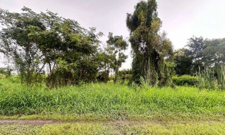 ขายที่ดิน - ขาย ที่ดินเปล่าซอยแบนชาโด 6 คลองสามวา ย่านนิมิตใหม่ กทม. ใกล้ถนนวัดสุขใจ เนื้อที่ 363 ตรว. ราคาต่อรองได้