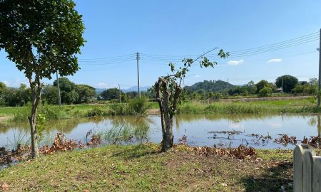 ขายที่ดิน - ขายที่ดิน 1ไร่ พร้อมต้นไม้ที่ปลูกไว้แล้ว ต.สาริกา อ.เมือง จ.นครนายก